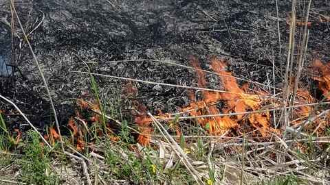 Aflame rush Stock Footage 104132601