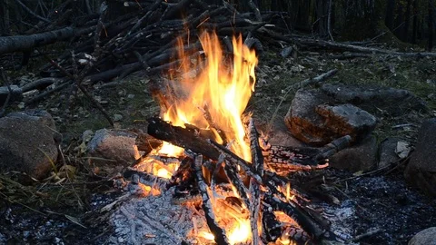 Aflame wood Stock Footage 101679274