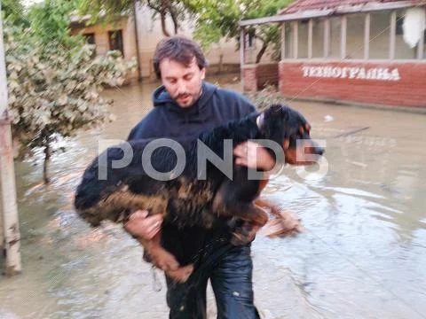 Afraid Man Saves His Dog From Flood