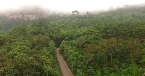 Africa Aerial jungle road 4K | Stock Video | Pond5