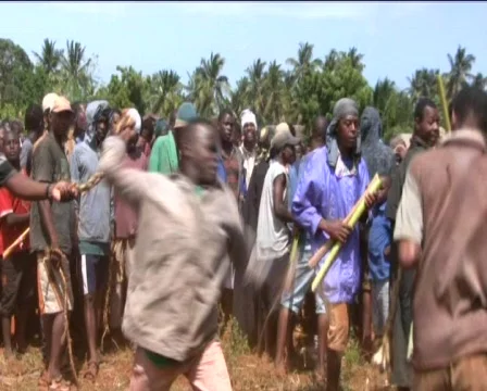 Africa Stock Footage 559684