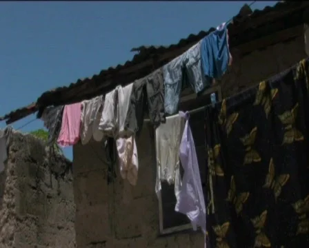 Africa Video stock 739784