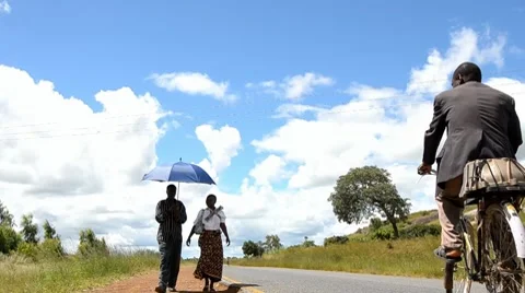 Africa Stock Footage 7740104