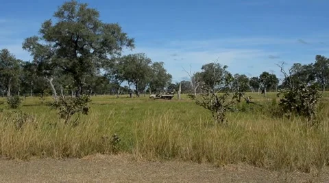 Africa Stock Footage 7740410