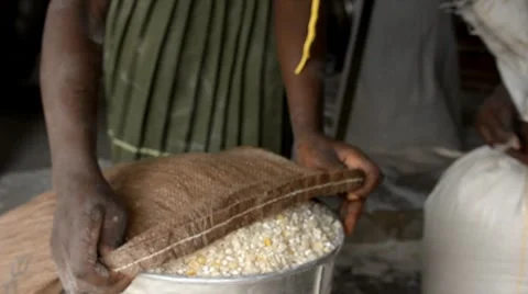 Africa Stock Footage 7740450