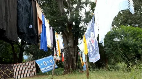 Africa Stock Footage 7740549