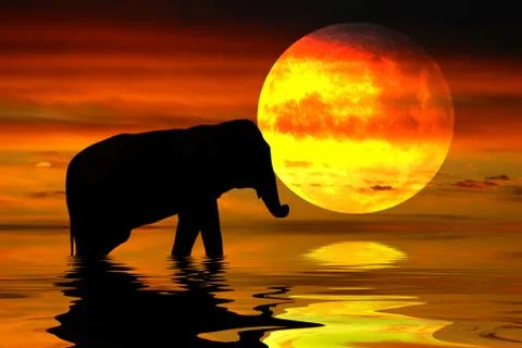 Africa moon Stock Illustration