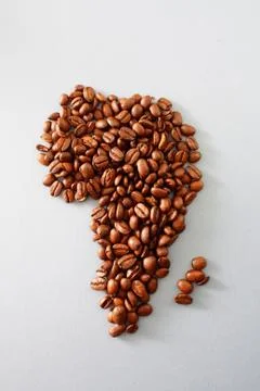 Africa Stock Photos