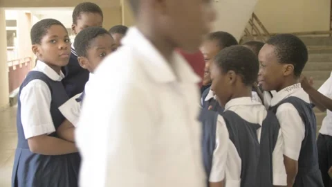 Africa School students inside  school classroom  with computer e learning 库存影片 251664406