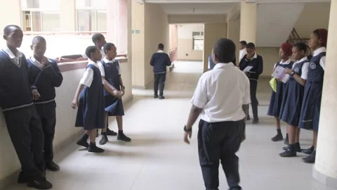 Africa School students inside  school classroom  with computer e learning Stock Footage 251664878