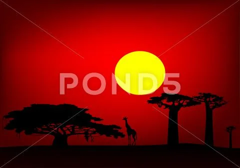 Africa sunset Stock Illustration