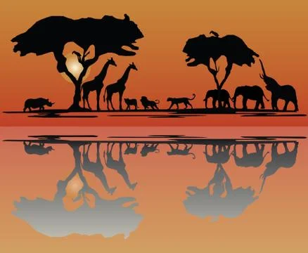 Africa sunset reflection Stock Illustration