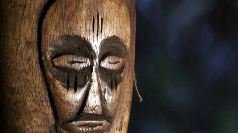 Africa, wod face, rain, zoom Stock Footage