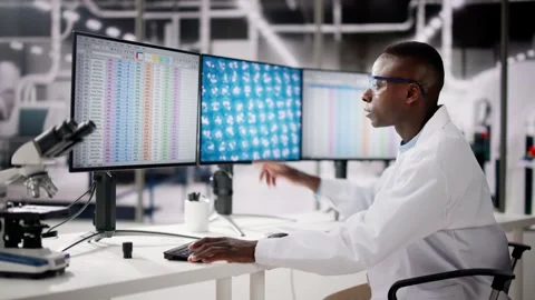 African American Analyzing Spreadsheet Data Stock Footage 274376240