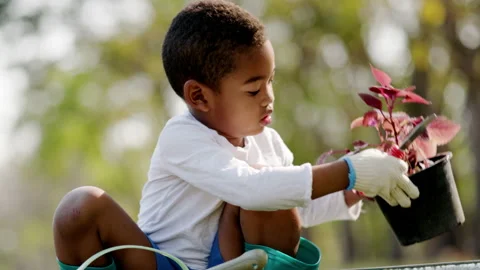 African American boy Doing tree planting activities in lawn park summer vacation Vidéo 172250345