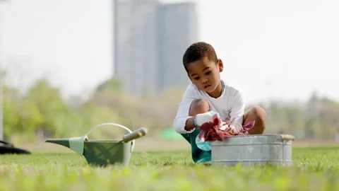 African American boy Doing tree planting activities in lawn park summer vacation Stock Footage 172250967