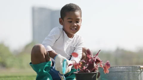 African American boy planted a tree in garden. And planting equipment. Stock Footage 149050090