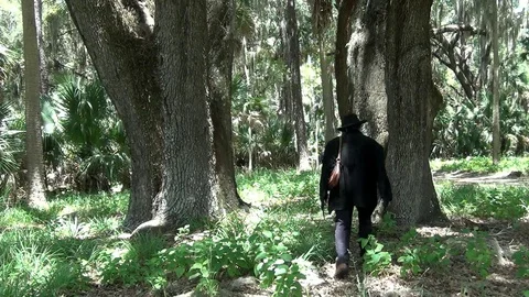 African American Explorer Examines Trees On Ossawad Island Stock Footage 121233013