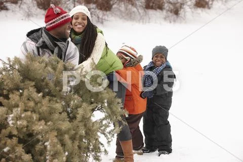 African American Family Retrieving Christmas Tree