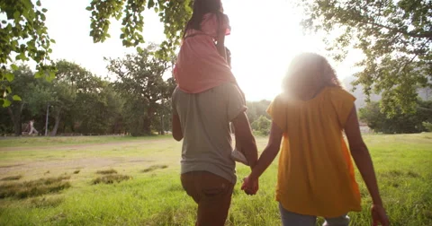 African-american family walking together in beautiful green park Stock Footage