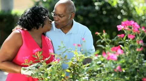 African American happy couple outdoors working in garden  Stock Footage