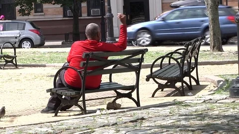 African American Man Sitting on a Bench Stock Footage
