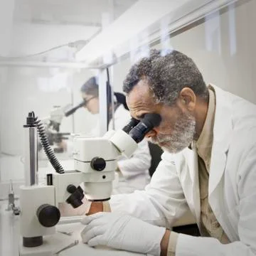 African American scientist using microscope in laboratory 스톡 사진