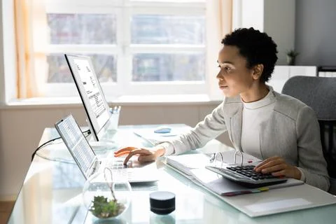 African American Tax Professional Female Stock Photos