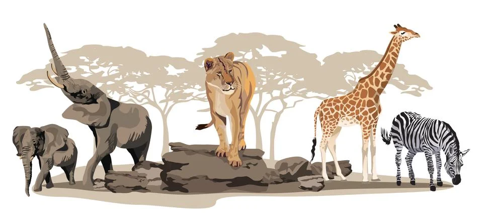 African animals 스톡 일러스트