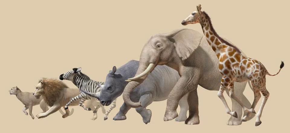 African animals Stock Illustration