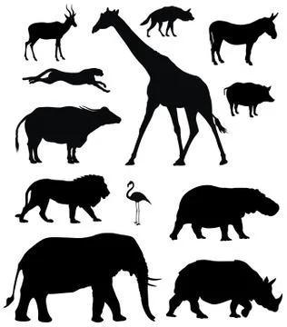 African animals Stock Illustration
