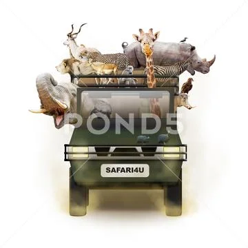 African Animals in Safari Tour Vehicle Stock Photos
