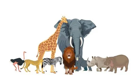 African Animals with White Background Illustrazione stock