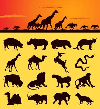 African animals2 イラスト素材