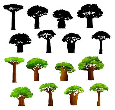 African baobab trees and vector silhouettes Stock Illustration
