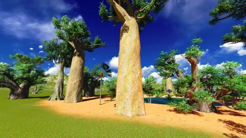 African baobabs Stock-Illustration