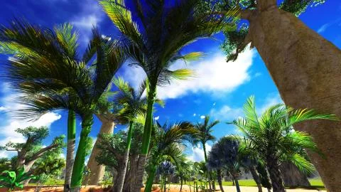 African baobabs Stock Illustration