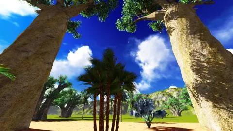 African baobabs Stock Illustration