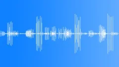 African barking geckos callingSound Effect