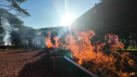 African BBQ - Fire and Flames Right to Left Stock Footage 323392030