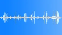 African bird soundscape Sound Effect