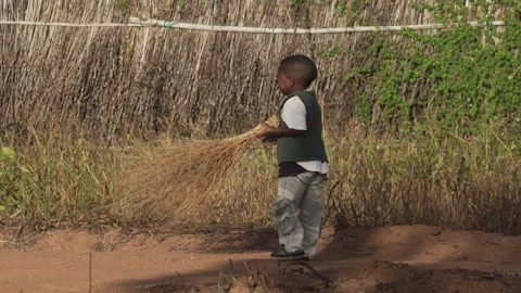 African boy sweeping yard Stock Footage 249671199