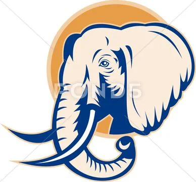 African bull elephant head Stock Illustration