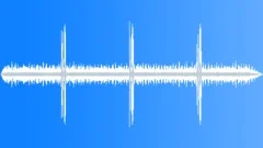 African Bush Sound Effect