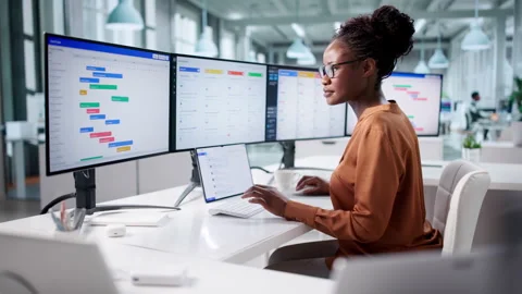 African Businesswoman Using Computer Software Stock Footage 328711641
