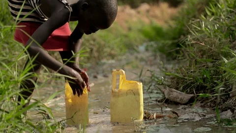 African Children fetching dirty drinking water using bottles to fill sour water Stock Footage 88015643