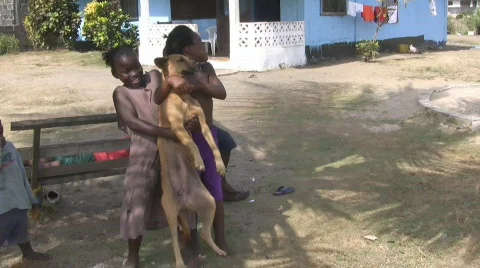 African Children Stock Footage 585550