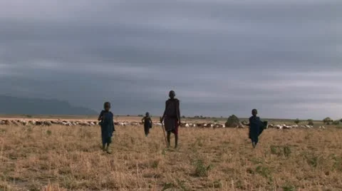 African Children Stock Footage 24655641