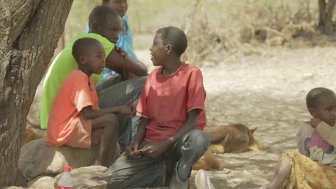 African children sit under tree and talk. Stock-Footage 82328267