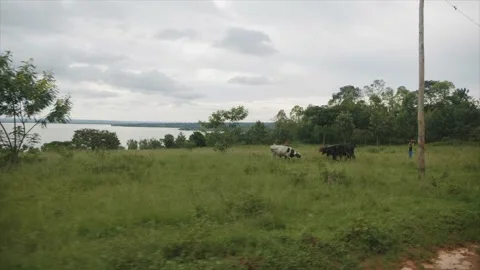 African countryside Stock Footage 232870415